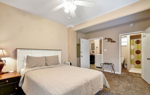 2591  Lakeshore Drive, Canyon Lake, TX 78133 — photo 20