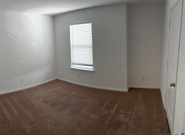 4126  Trail De Paris, New Braunfels — photo 10