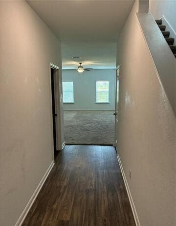 4126  Trail De Paris, New Braunfels — photo 2