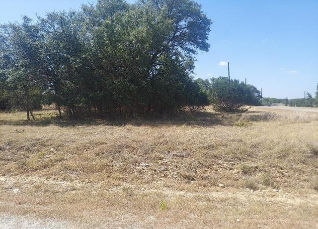 LOT 448 Williams wood