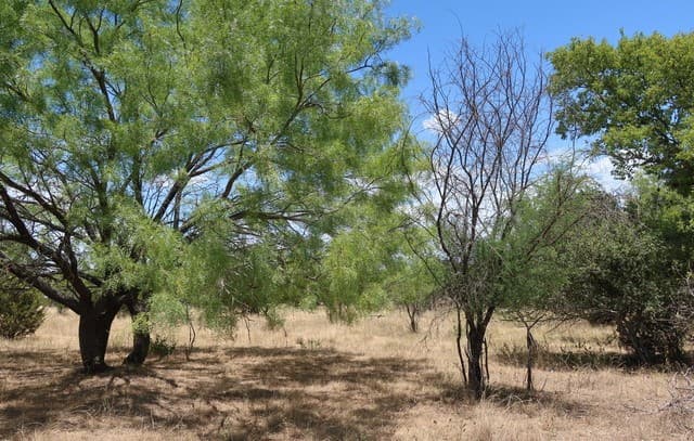 TBD Cypress, Bandera, TX 78003