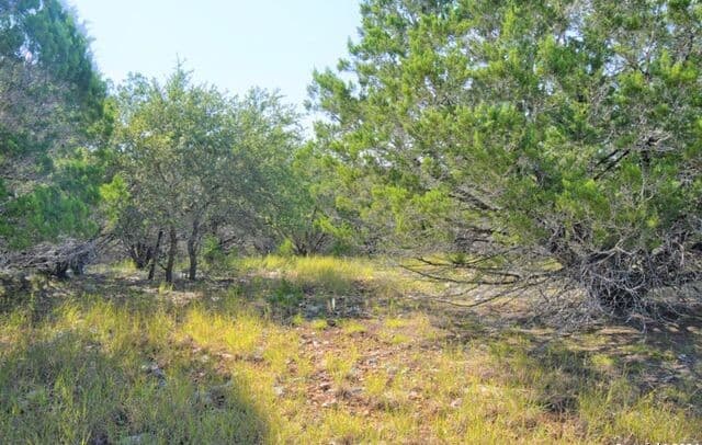 278 Canyon Drive, Bandera, TX 78003
