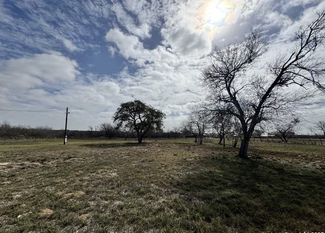 115 County Road 779