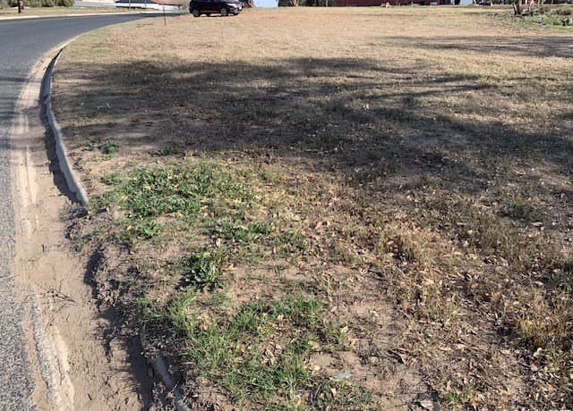 407 Wilson Dr, Devine, TX 78016