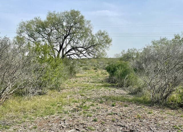 191 County Road 1670
