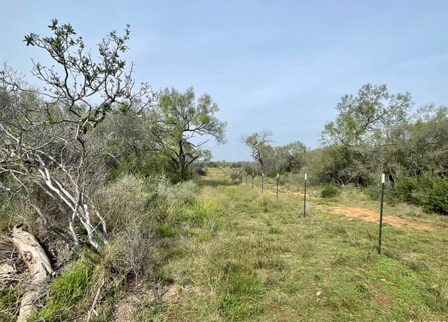169 County Road 1670