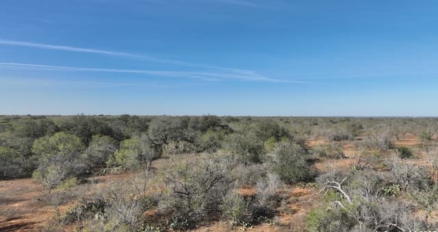 10 Windmill Ranchettes CR 329