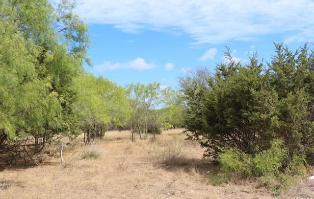 LOT 23 Cypress