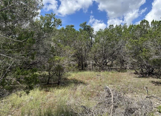7131 Rebecca Creek, Spring Branch, TX 78070
