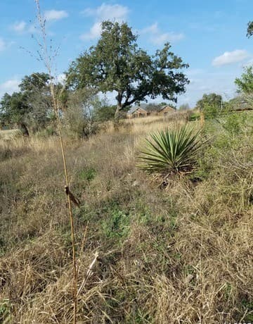 LOT 102 PR 3702 Pr 3702