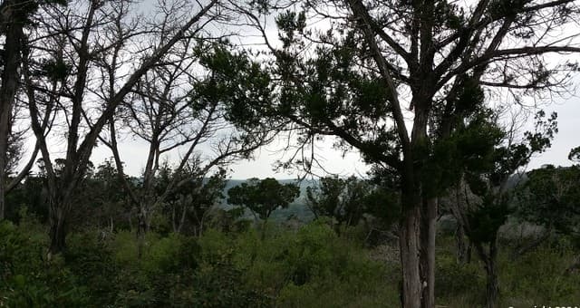 220 Private Road 1717