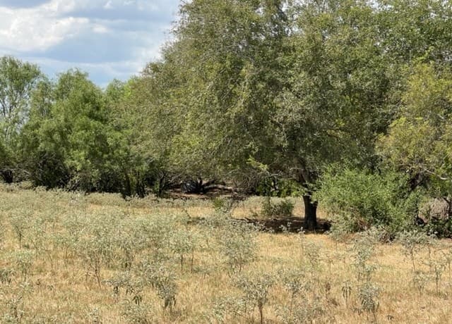 1039 County Road 232
