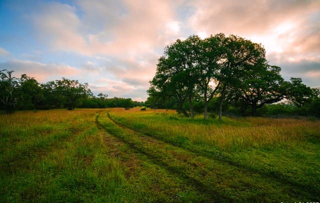 000 Rolling hill