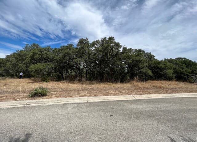 LOT 29 Alberi