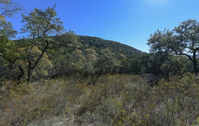 286 Private Road 1733
