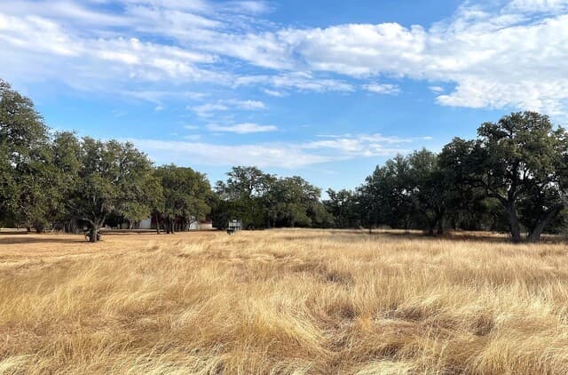 LOT 435 Horseshoe
