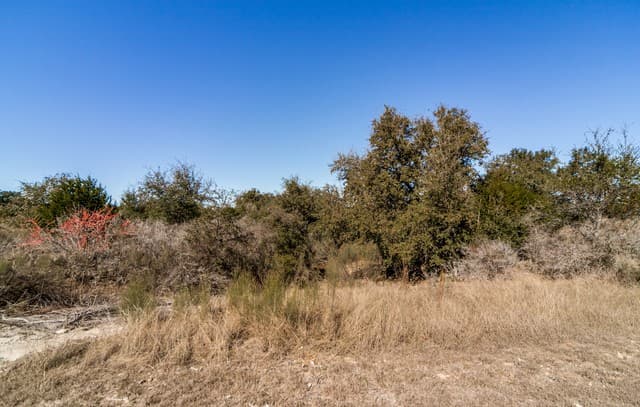 LOT 85 Palomino Springs