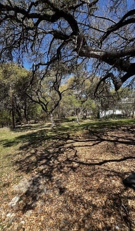 535 Twin Elm