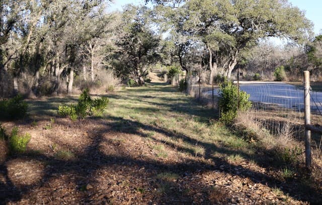 TBD County Road 241