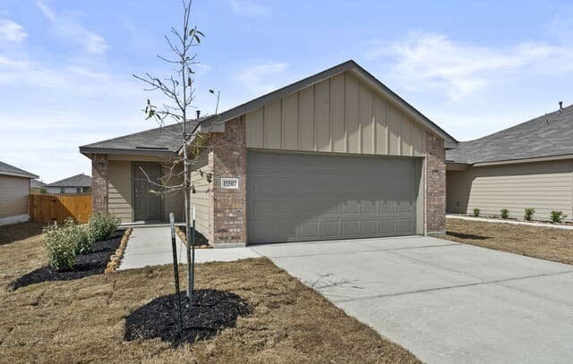 15507 Mint Patch Meadow
