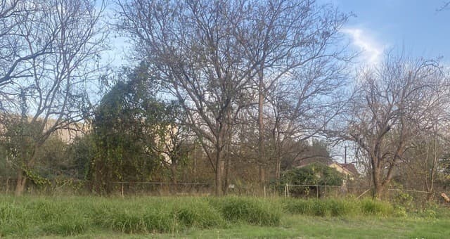 210 Dalton Alley, San Antonio, TX 78202