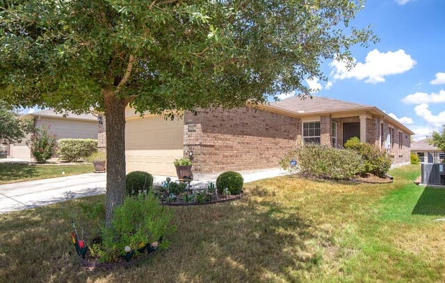 12907 Pronghorn Oak
