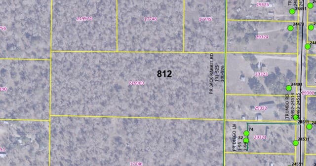 TBD Trumbo Rd, Pleasanton, TX 78065