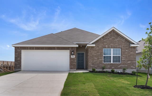 2506 White Daisy Hill
