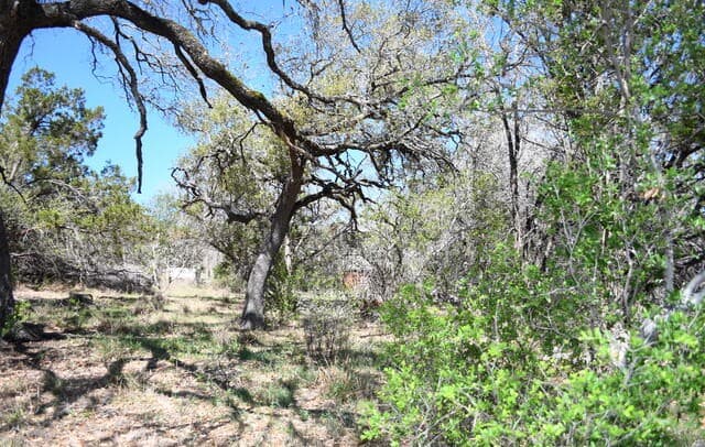 1361 Hidden Valley