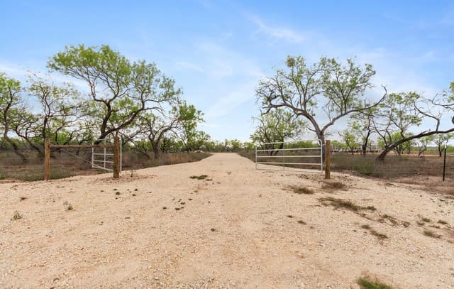 2161 County Road 124