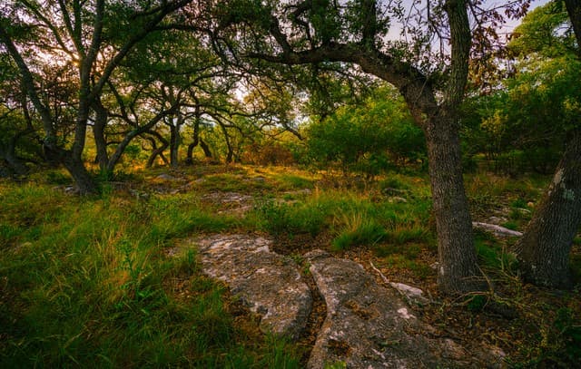 000 Rambling Oaks Ranch