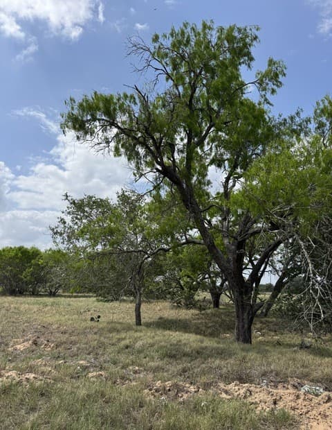 00 County Road 405, Floresville, TX 78114