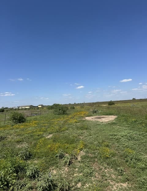 2731 Atascosa County Road 101