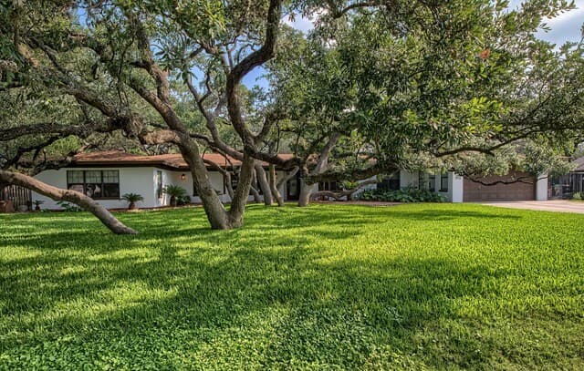 329 Meadowbrook Dr, Hollywood Park, TX 78232