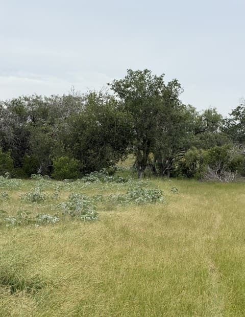 6038 County Road 405