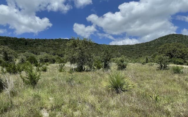 LOT 12 Walden Ridge