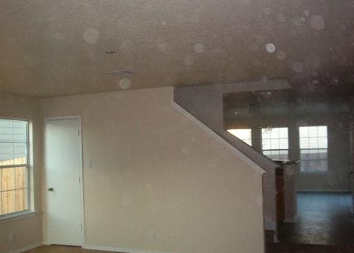 16138 Branching Oaks