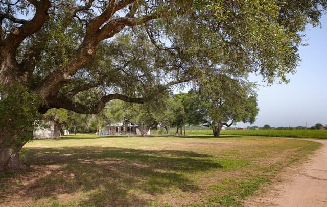 4901 LOWER SEGUIN (5 Acres) RD