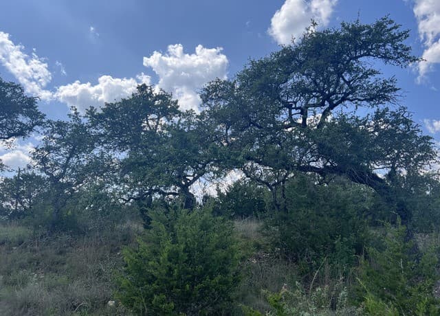636 Rock Trail Pl, Spring Branch, TX 78070