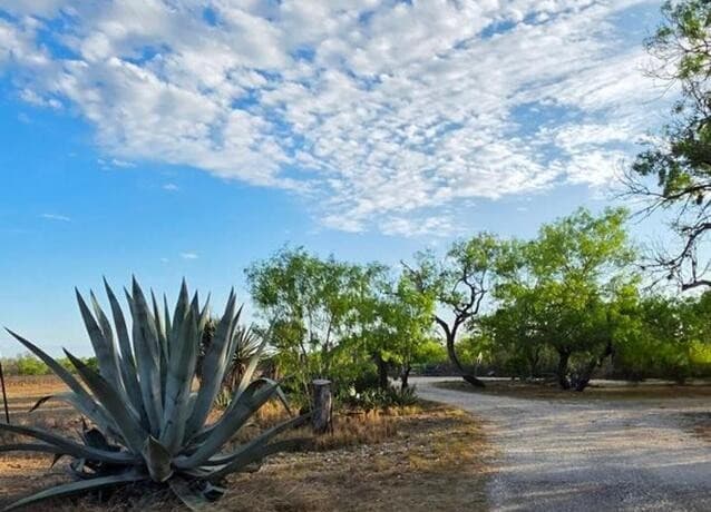 4029 County Road 117