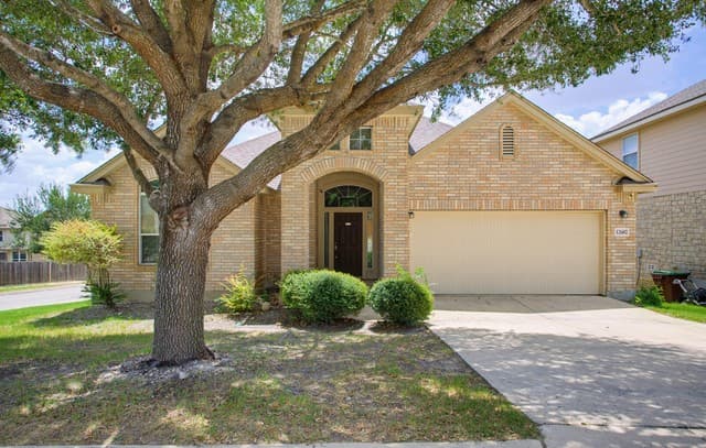 12602 Red Maple