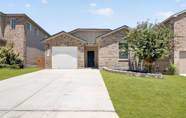 15335 Shortwing