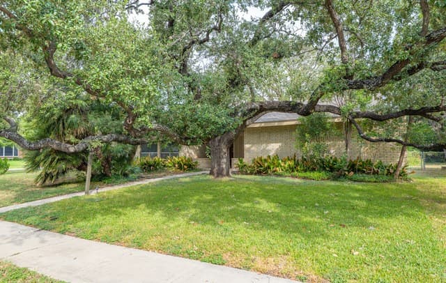 3103 Mindoro Dr